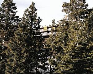 Royal Aloha Tahoe