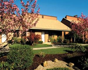 Brewster Green Resort