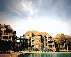 Barrier Island Station-Duck