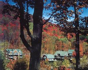 La Voliere du Mont Tremblant