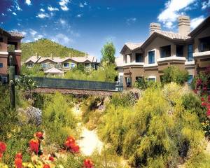 Desert Arroyo Phoenix