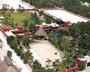 Cancun Equestrian at Sunset Resort