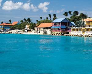 Divi Flamingo Beach Resort Bonaire Bonaire Timeshare Rentals Timeshare