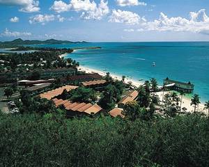 Rex Halcyon Cove