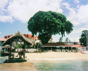 sandy point beach club
