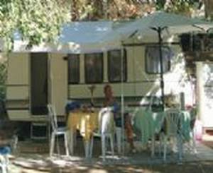 Camping Holiday Green