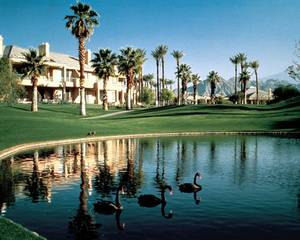 Desert Springs Villas