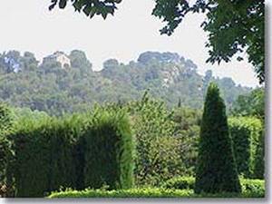 Masblanc Des Alpilles