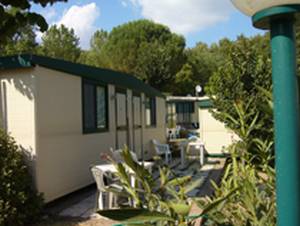 Camping I Pini