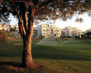 Pine Cliffs Resort