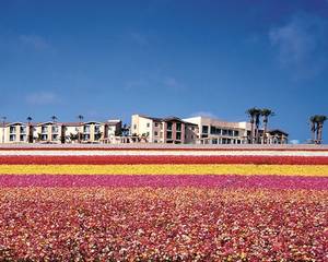 Grand Pacific Resorts at Grand Pacific Palisades Resort