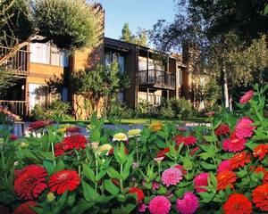 San Diego Country Estates