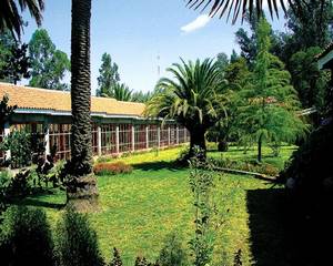 Termas de Quinamavida