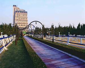 Surf Plaza-Qingdao