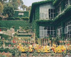 Timber Trail Heights