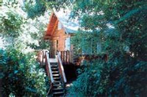 Mtunzini Forest Lodge