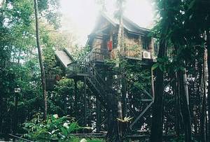 Permai Rainforest Resort