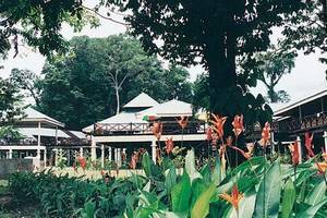 Royal Mulu Resort