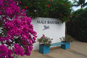 Maui Banyan Vacation Club